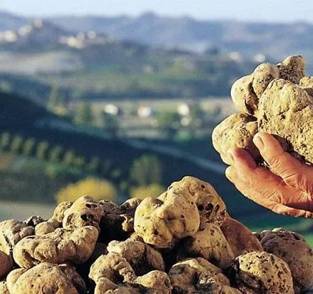 Appartamento La Casa Dei Ricordi Acqualagna