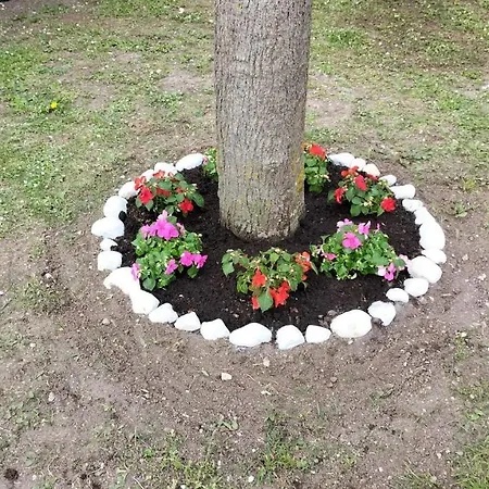 La Casa Dei Ricordi Appartamento Acqualagna